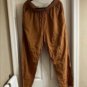 Brown Relaxed Fit Joggers with Elastic Waistband